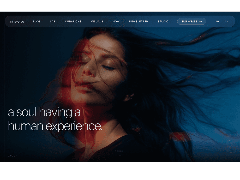 ninaverse.blog website